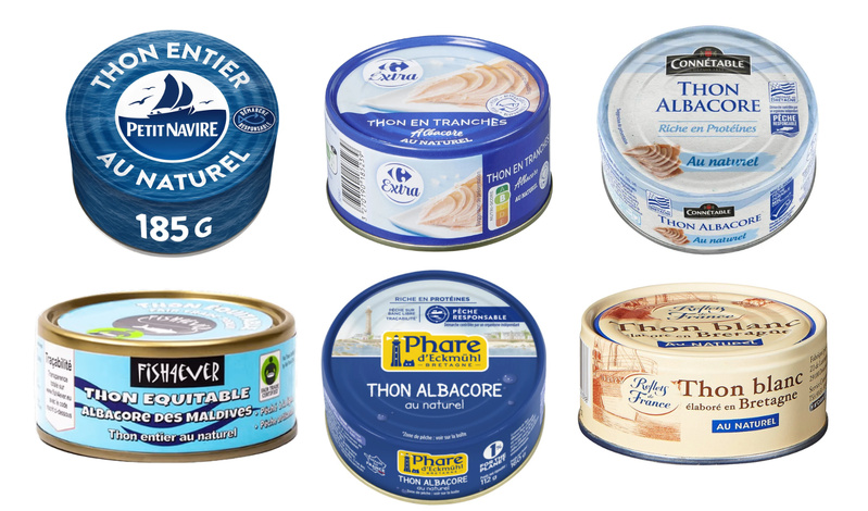 Les Dangers Cachés du Thon : Ce Que Vous Devez Savoir Avant de Consommer CE Poisson 🌿✨ Les Dangers Cachés du Thon : Ce Que Vous Devez Savoir Avant de Consommer CE Poisson 🌿✨