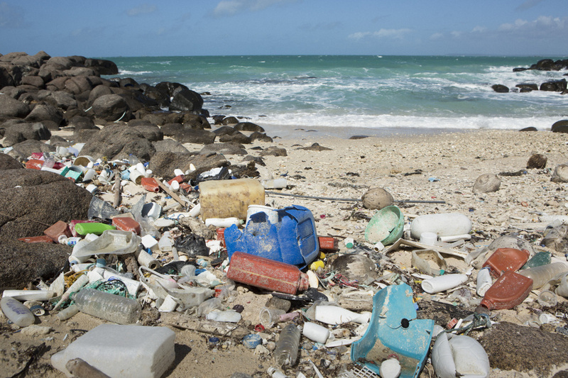 La pollution plastique dans les océans, un problème environnemental majeur La pollution plastique dans les océans, un problème environnemental majeur