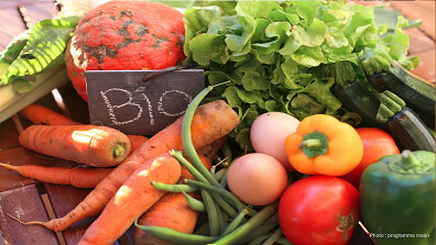 L’alimentation bio pour une gestion naturelle du diabète L’alimentation bio pour une gestion naturelle du diabète