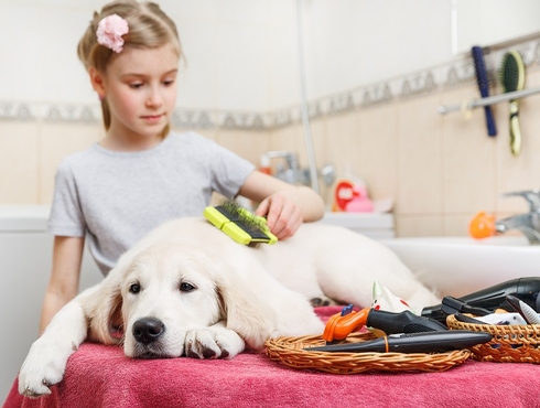 🐾 Les Soins Gériatriques des Animaux : Un Accompagnement Essentiel pour Nos Compagnons Âgés 🌟 🐾 Les Soins Gériatriques des Animaux : Un Accompagnement Essentiel pour Nos Compagnons Âgés 🌟