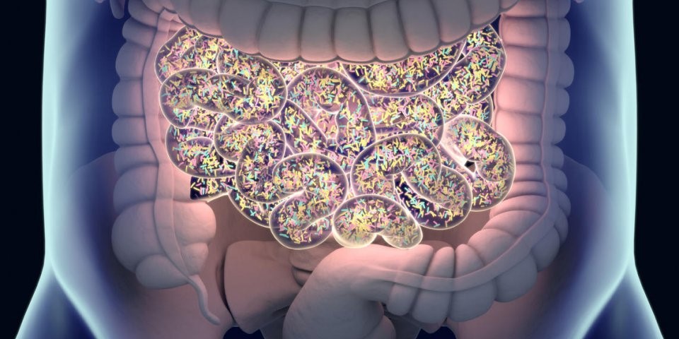 Diabète et microbiote intestinal : Comment la santé de ton intestin influence ta glycémie ? Diabète et microbiote intestinal : Comment la santé de ton intestin influence ta glycémie ?