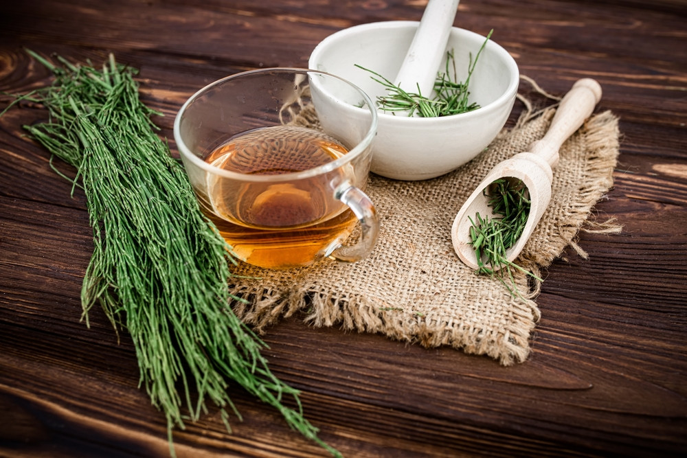 Le Grand Dossier : Les médicaments Dangereux et les alternatives naturelles (A lire absolument) Le Grand Dossier : Les médicaments Dangereux et les alternatives naturelles (A lire absolument)