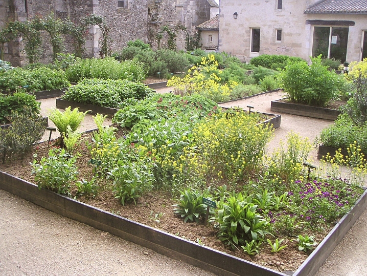 La France renforce son engagement pour la santé naturelle avec des jardins médicinaux La France renforce son engagement pour la santé naturelle avec des jardins médicinaux