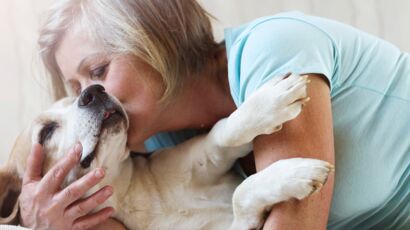 Ce que les animaux savent faire… que la médecine ignore encore Ce que les animaux savent faire… que la médecine ignore encore