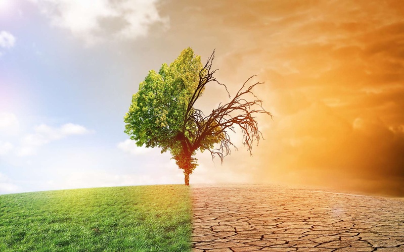 🌡️ Changement Climatique : Une Menace Inéluctable pour Nos Vies et Celles de Nos Enfants ⚠️