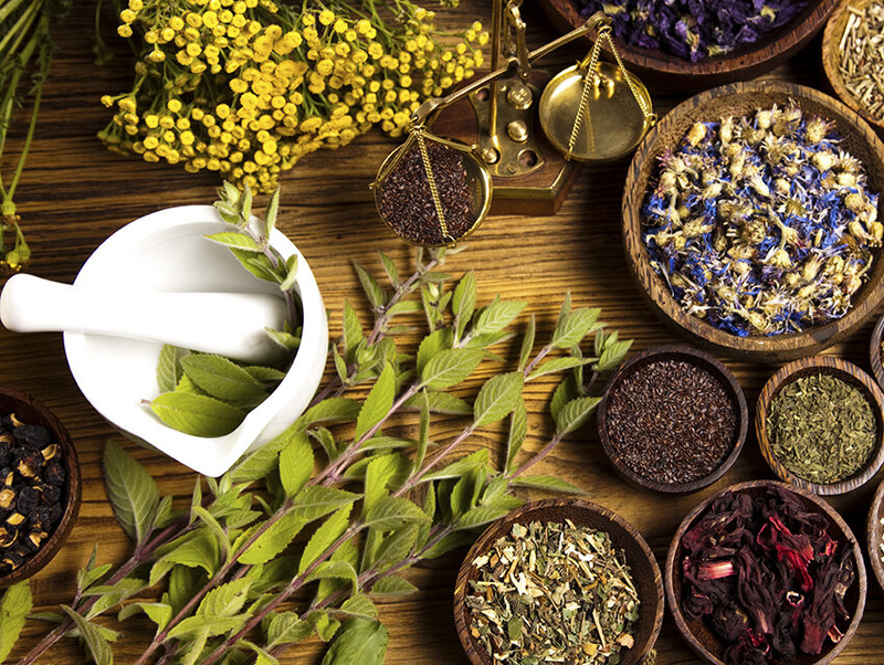 Les bienfaits des plantes en naturopathie : exemples de pathologies traitées, utilisations et posologies