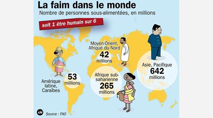 La Crise Alimentaire Mondiale : Un Défi Urgent à Relever 🌍 La Crise Alimentaire Mondiale : Un Défi Urgent à Relever 🌍