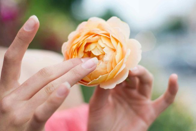 Naturopathie et Santé Féminine : Fleurir au Naturel - Les conseils d'expert pour vous les femmes ! Hormones, santé reproductive, etc... Naturopathie et Santé Féminine : Fleurir au Naturel - Les conseils d'expert pour vous les femmes ! Hormones, santé reproductive, etc...