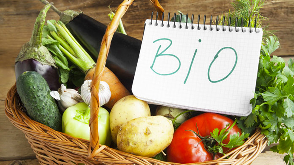 🌱 L'Impact des Aliments Bio sur la Santé et l'Environnement 🌍 🌱 L'Impact des Aliments Bio sur la Santé et l'Environnement 🌍