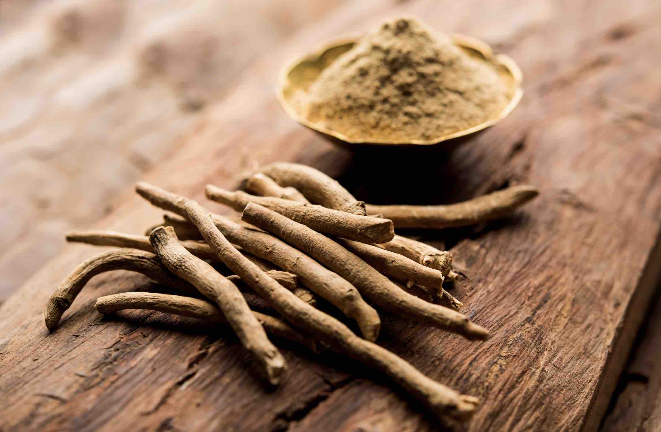 🌿 Zoom sur l’Ashwagandha : La Plante Adaptogène du Moment 🌟 🌿 Zoom sur l’Ashwagandha : La Plante Adaptogène du Moment 🌟