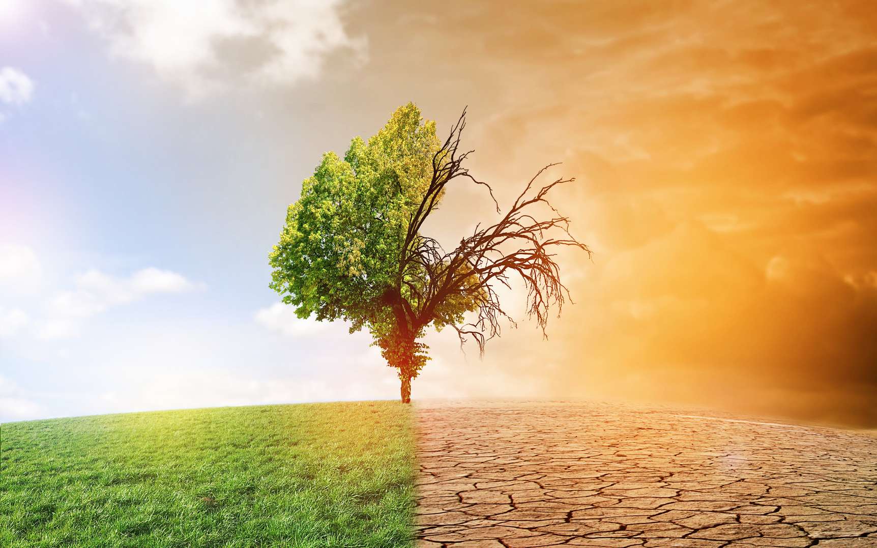 🌡️ Changement Climatique : Une Menace Inéluctable pour Nos Vies et Celles de Nos Enfants ⚠️
