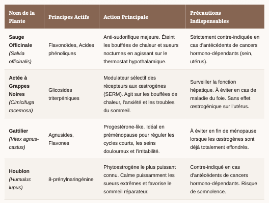 LE GRAND DOSSIER DE LA MÉNOPAUSE : Comprendre la Métamorphose Biologique et Maîtriser la Transition par les Solutions Naturelles