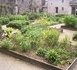 La France renforce son engagement pour la santé naturelle avec des jardins médicinaux La France renforce son engagement pour la santé naturelle avec des jardins médicinaux
