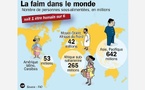La Crise Alimentaire Mondiale : Un Défi Urgent à Relever 🌍 La Crise Alimentaire Mondiale : Un Défi Urgent à Relever 🌍