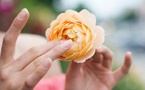 Naturopathie et Santé Féminine : Fleurir au Naturel - Les conseils d'expert pour vous les femmes ! Hormones, santé reproductive, etc... Naturopathie et Santé Féminine : Fleurir au Naturel - Les conseils d'expert pour vous les femmes ! Hormones, santé reproductive, etc...
