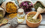 Faits Divers : La Révolution des Plantes Médicinales 🌿 Faits Divers : La Révolution des Plantes Médicinales 🌿
