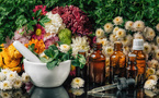 🌸 Les Fleurs de Bach : Équilibrer Émotions et Bien-Être 🌼 🌸 Les Fleurs de Bach : Équilibrer Émotions et Bien-Être 🌼