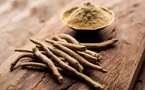 🌿 Zoom sur l’Ashwagandha : La Plante Adaptogène du Moment 🌟 🌿 Zoom sur l’Ashwagandha : La Plante Adaptogène du Moment 🌟