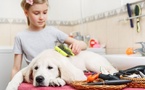 🐾 Les Soins Gériatriques des Animaux : Un Accompagnement Essentiel pour Nos Compagnons Âgés 🌟 🐾 Les Soins Gériatriques des Animaux : Un Accompagnement Essentiel pour Nos Compagnons Âgés 🌟