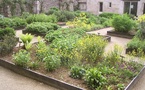 La France renforce son engagement pour la santé naturelle avec des jardins médicinaux La France renforce son engagement pour la santé naturelle avec des jardins médicinaux