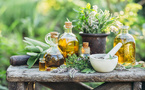 Aromathérapie et Phytothérapie : Les Clés pour Vivre Longtemps en Bonne Santé Aromathérapie et Phytothérapie : Les Clés pour Vivre Longtemps en Bonne Santé