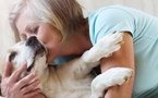 Ce que les animaux savent faire… que la médecine ignore encore