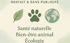 Lifeline Magazine : Votre Guide pour une Vie Plus Saine et Plus Heureuse 🌟