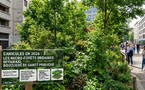 Canicules en 2026 : Les micro-forêts urbaines s'imposent comme boucliers de santé publique 🌳🏙️