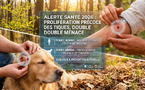 Alerte Santé 2026 : La prolifération précoce des tiques menace humains et animaux de compagnie 🐾🌲