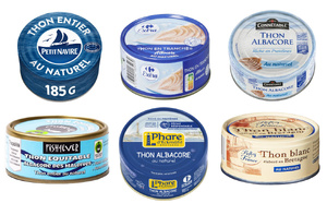 🌿✨Les Dangers Cachés du Thon : Le Poison Silencieux de vos Salades ? Ce qu'on ne vous dit pas