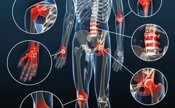 🦵 Corps &amp; Mouvement : Articulations sans Douleur