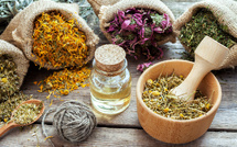 Faits Divers : La Révolution des Plantes Médicinales 🌿 Faits Divers : La Révolution des Plantes Médicinales 🌿