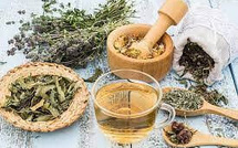 Les propriétés thérapeutiques des principales plantes pour le diabète Les propriétés thérapeutiques des principales plantes pour le diabète