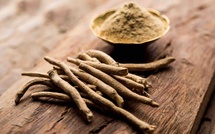🌿 Zoom sur l’Ashwagandha : La Plante Adaptogène du Moment 🌟 🌿 Zoom sur l’Ashwagandha : La Plante Adaptogène du Moment 🌟