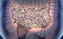Diabète et microbiote intestinal : Comment la santé de ton intestin influence ta glycémie ? Diabète et microbiote intestinal : Comment la santé de ton intestin influence ta glycémie ?