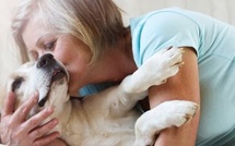 Ce que les animaux savent faire… que la médecine ignore encore