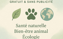 Lifeline Magazine : Votre Guide pour une Vie Plus Saine et Plus Heureuse 🌟
