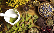 Les bienfaits des plantes en naturopathie : exemples de pathologies traitées, utilisations et posologies