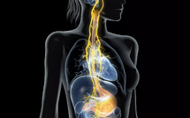 Le Nerf Vague : L'Interrupteur "Anti-Stress" Naturel à Activer d'Urgence cet Hiver