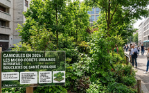 Canicules en 2026 : Les micro-forêts urbaines s'imposent comme boucliers de santé publique 🌳🏙️