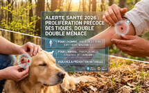 Alerte Santé 2026 : La prolifération précoce des tiques menace humains et animaux de compagnie 🐾🌲