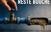 LES STATINES SOYEZ MEFIANTS CAR ELLES SE TROMPENT DE CIBLE : Voici COMMENT !
